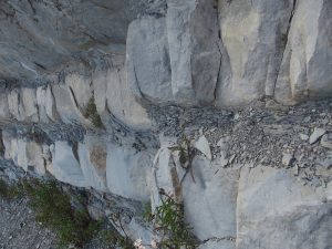 Une strate de marnes argilo-calcaires entre deux couches de roches calcaires
