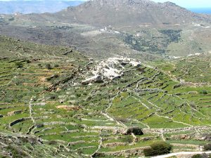les terrains rocailleux et arides possibles pour la cueillette du Sideritis